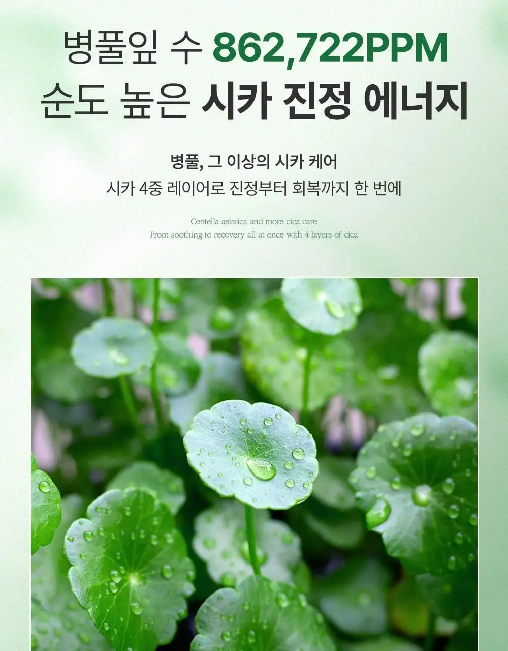[단독패키지] 웰더마 시카 리페어 겔마스크팩 4매 병풀잎수 86% 상세페이지 11